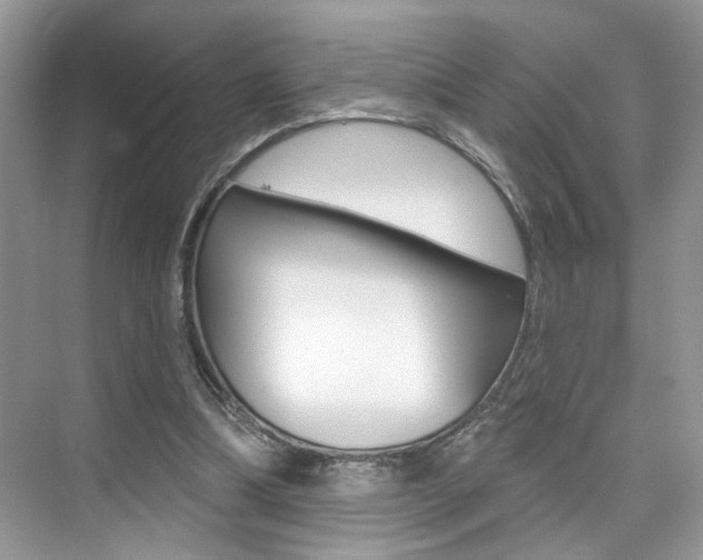 X0000076040298200609220925