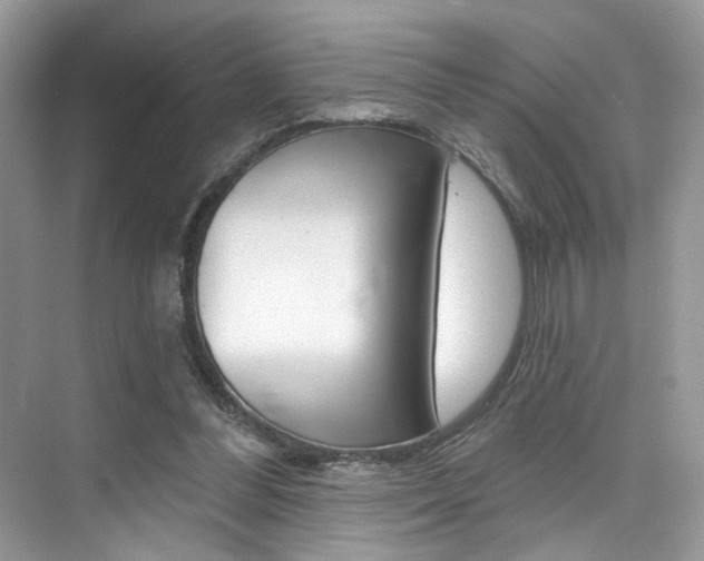 X0000076040300200609220925