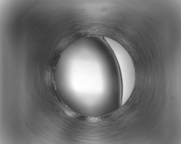 X0000076040333200609220925