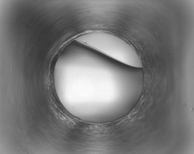 X0000076040338200609220924