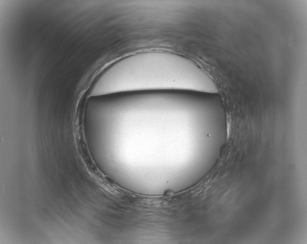 X0000076040339200609220924