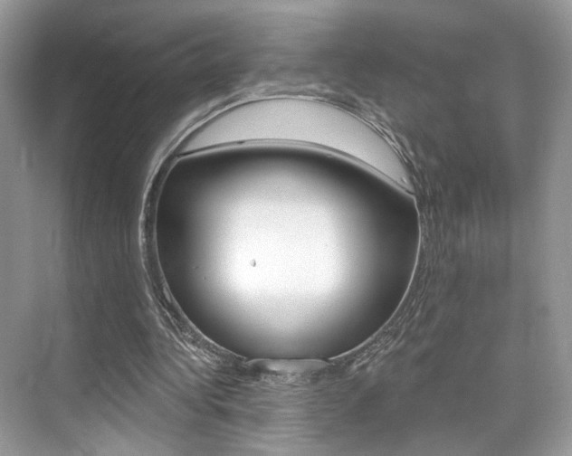 X0000076040340200609220924