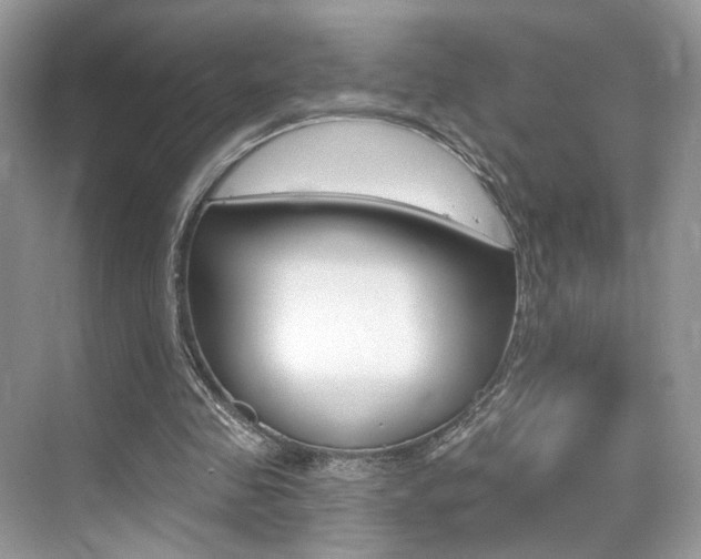 X0000076040341200609220924