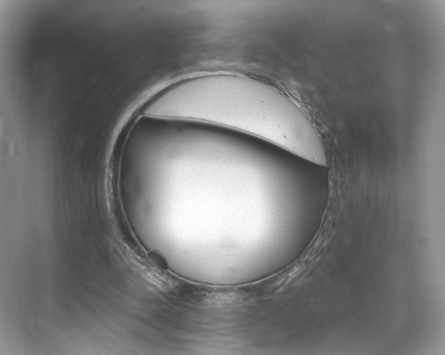 X0000076040342200609220924