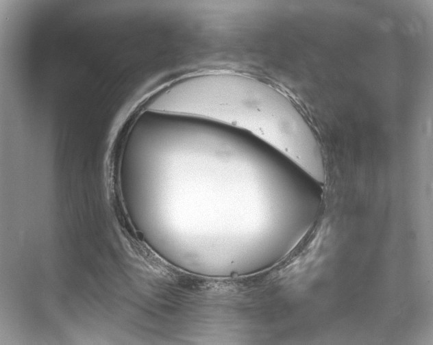 X0000076040343200609220924