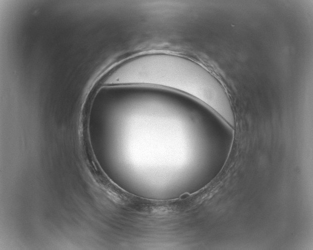 X0000076040344200609220924