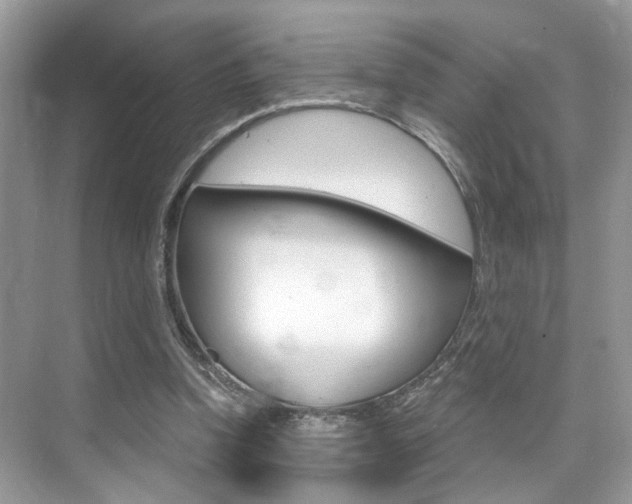 X0000076040346200609220924
