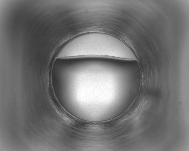 X0000076040349200609220924