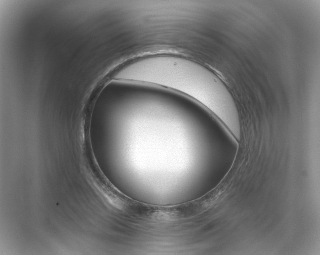 X0000076040350200609220924