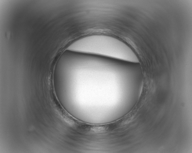X0000076040357200609220924