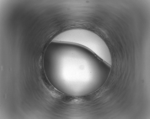 X0000076040364200609220924