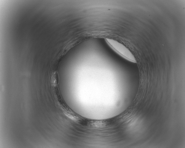 X0000076040383200609220925