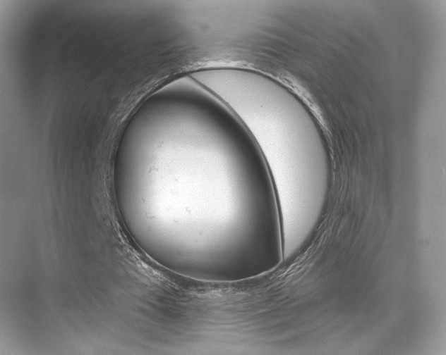 X0000076040385200609220924