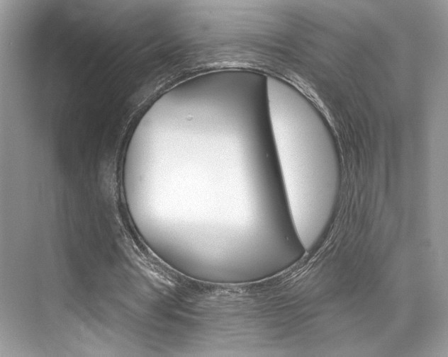 X0000076040386200609220924
