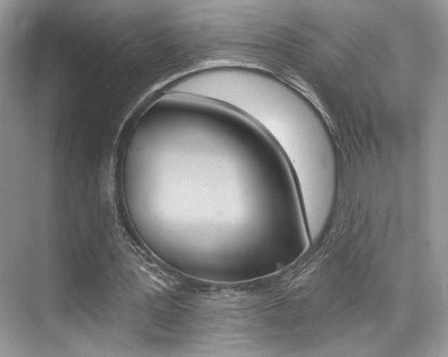 X0000076040387200609220924