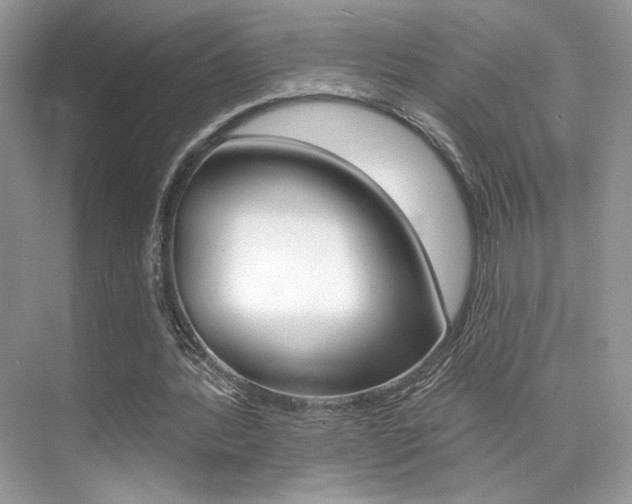 X0000076040388200609220924