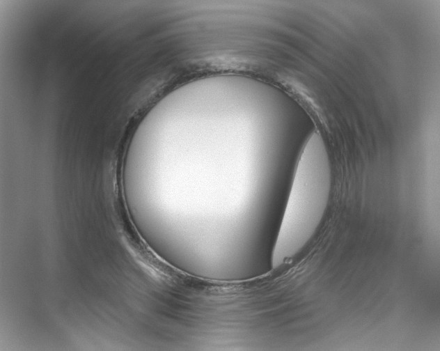 X0000076040398200609220924