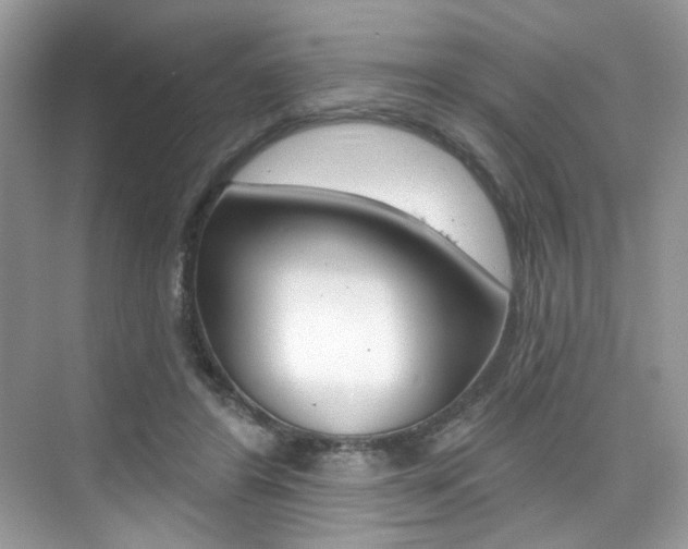 X0000076040404200609220924