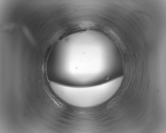 X0000076040405200609220924