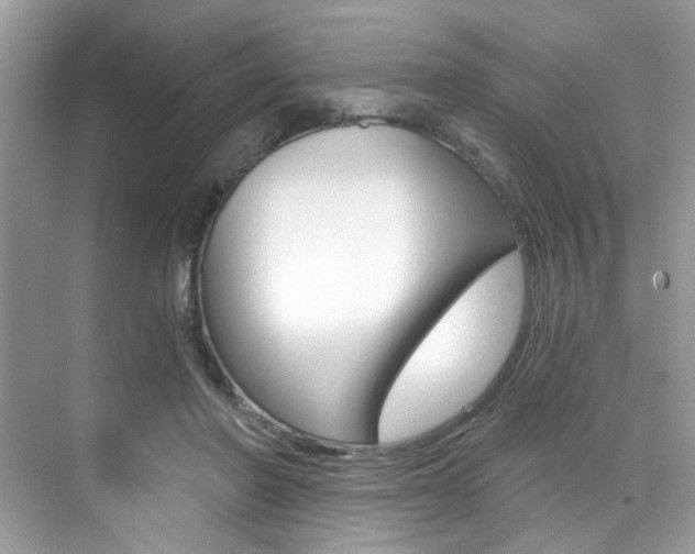 X0000076040406200609220924