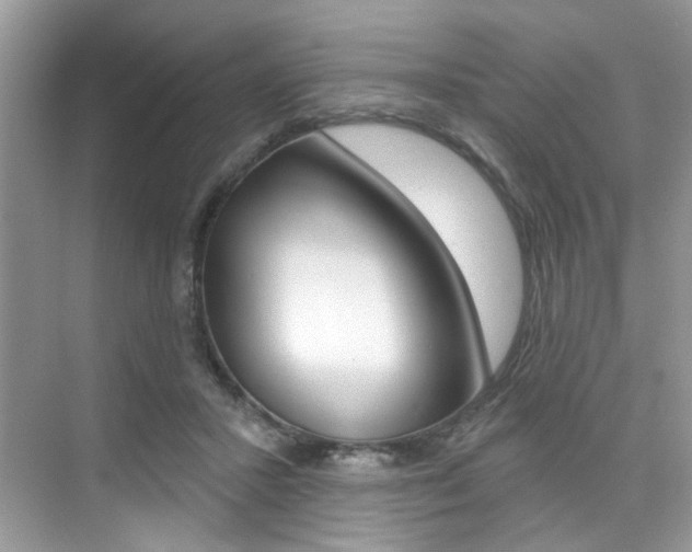 X0000076040407200609220924