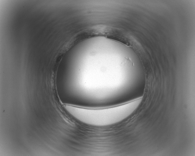 X0000076040413200609220924