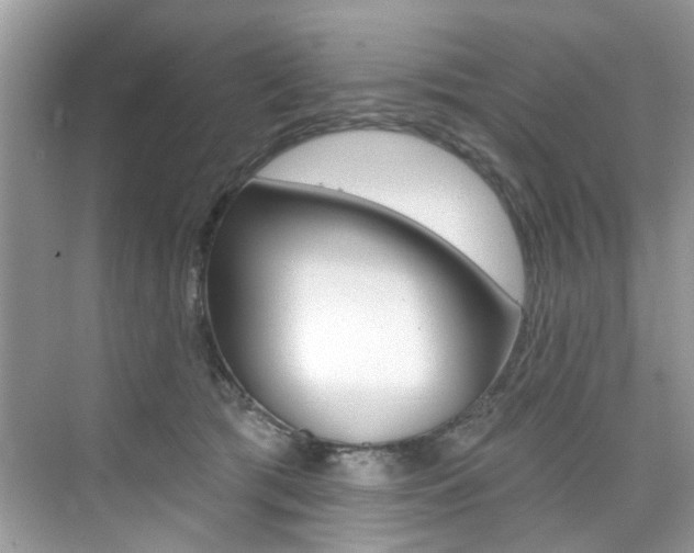 X0000076040417200609220923