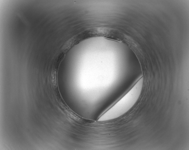 X0000076040425200609220923