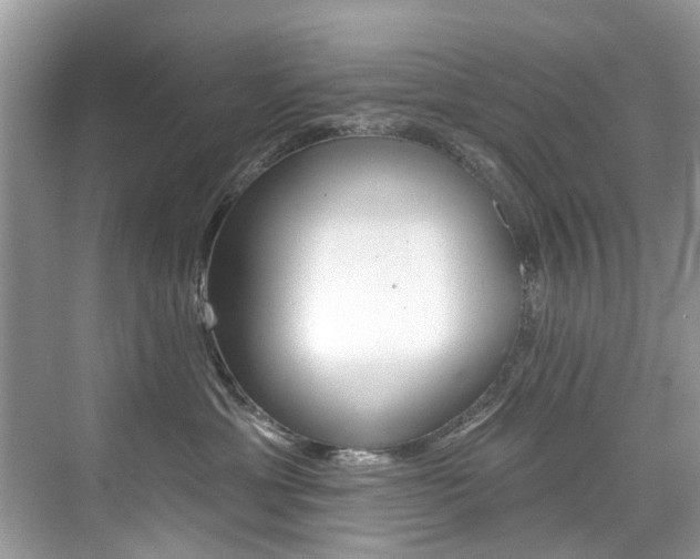 X0000076040429200609220923