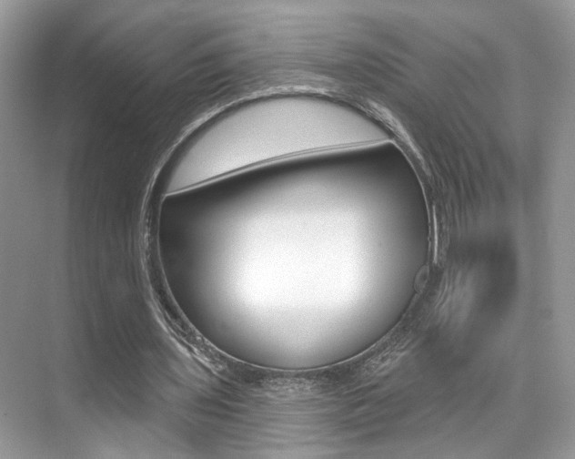 X0000076040435200609220922