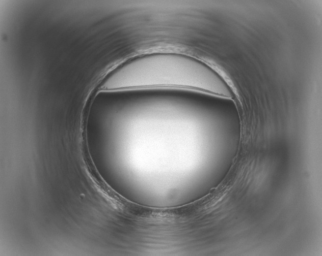 X0000076040437200609220922