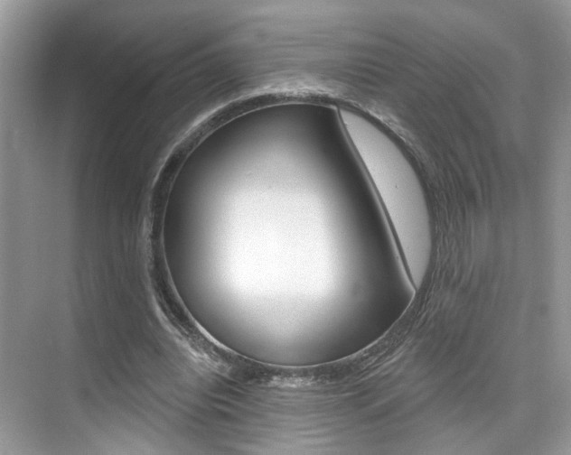 X0000076040440200609220923