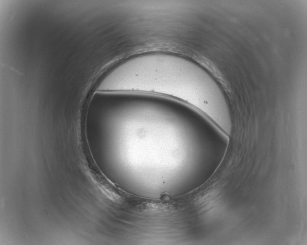 X0000076040442200609220923