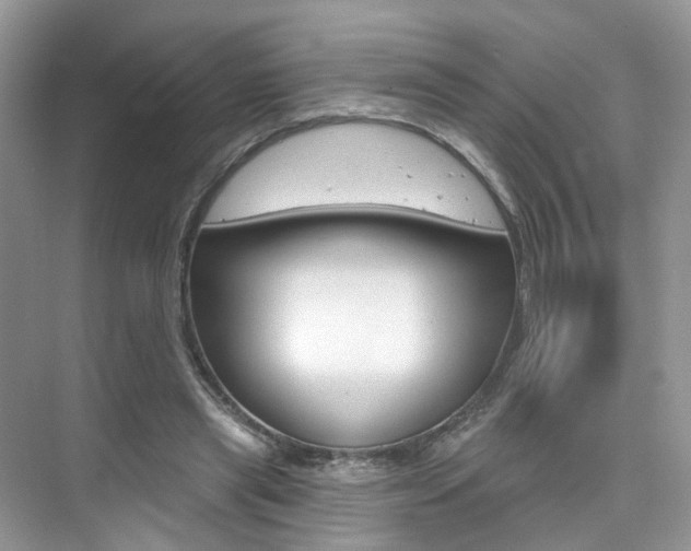 X0000076040445200609220923