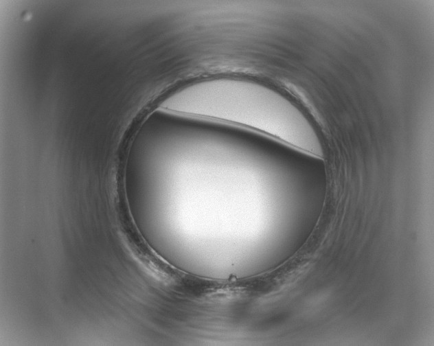 X0000076040447200609220923