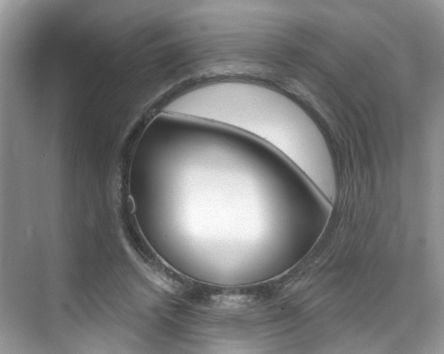 X0000076040448200609220923