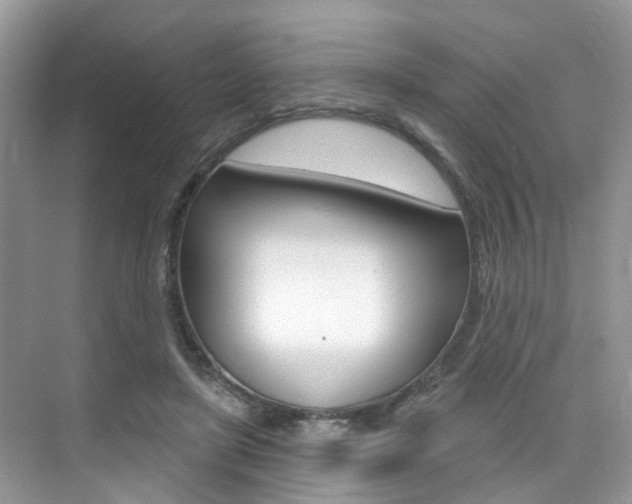 X0000076040451200609220923