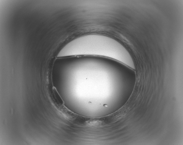 X0000076040452200609220923