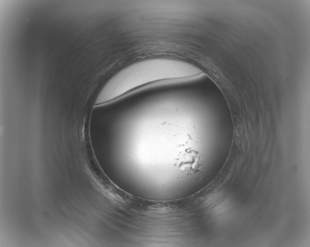 X0000076040454200609220923