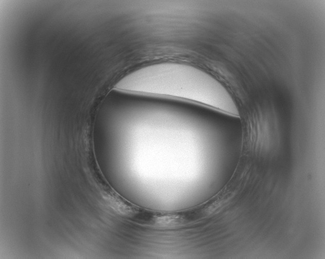 X0000076040461200609220923