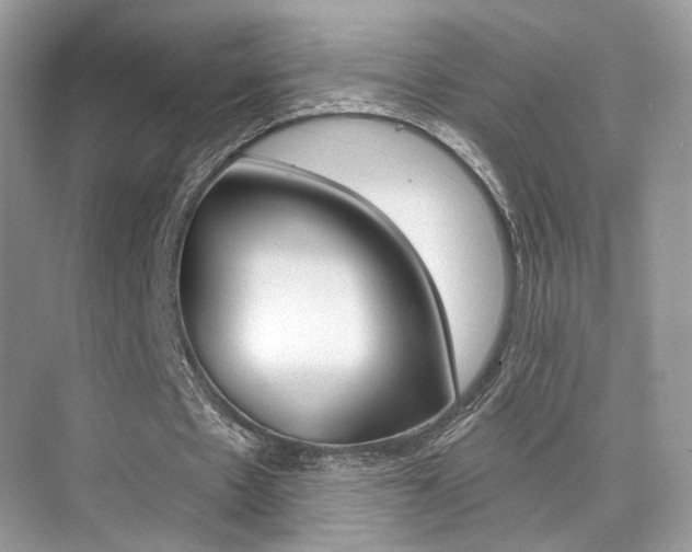 X0000076040481200609220922