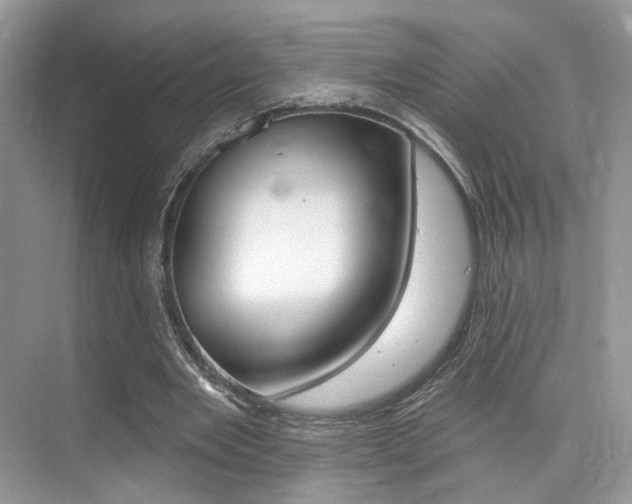 X0000076040485200609220922