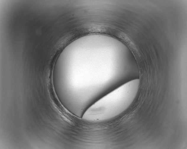 X0000076040490200609220922