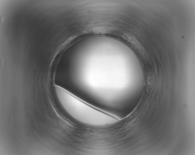X0000076040492200609220922