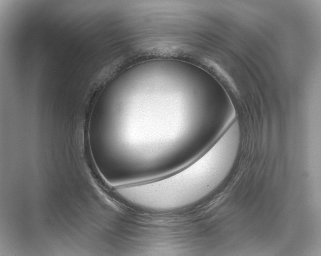 X0000076040493200609220922