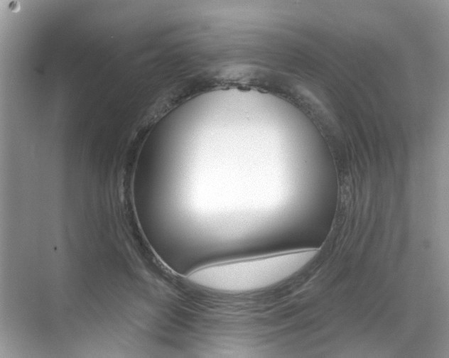 X0000076040504200609220922