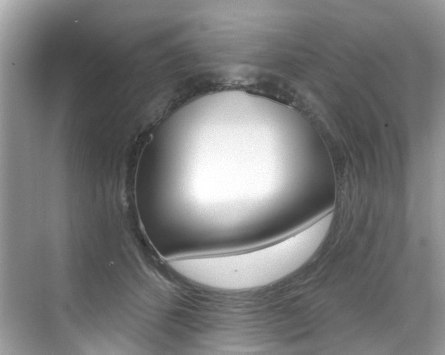 X0000076040512200609220922