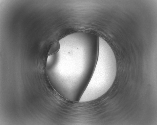X0000076040515200609220922