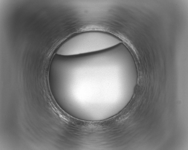 X0000076040529200609220921