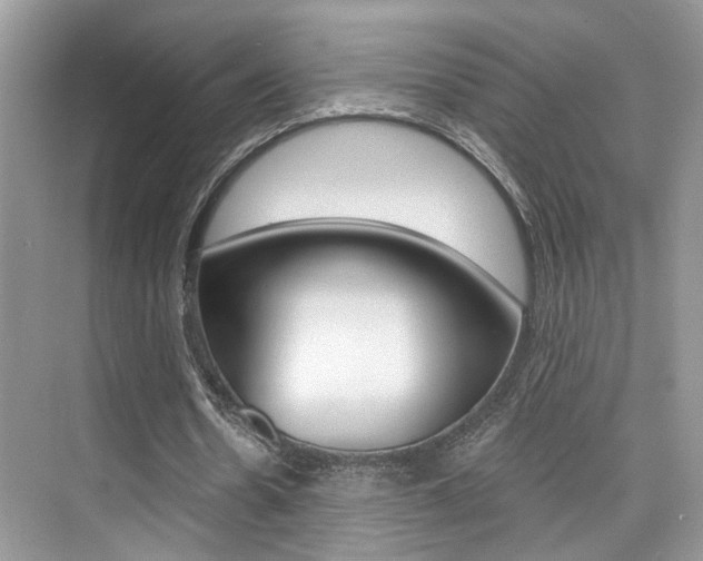 X0000076040530200609220921